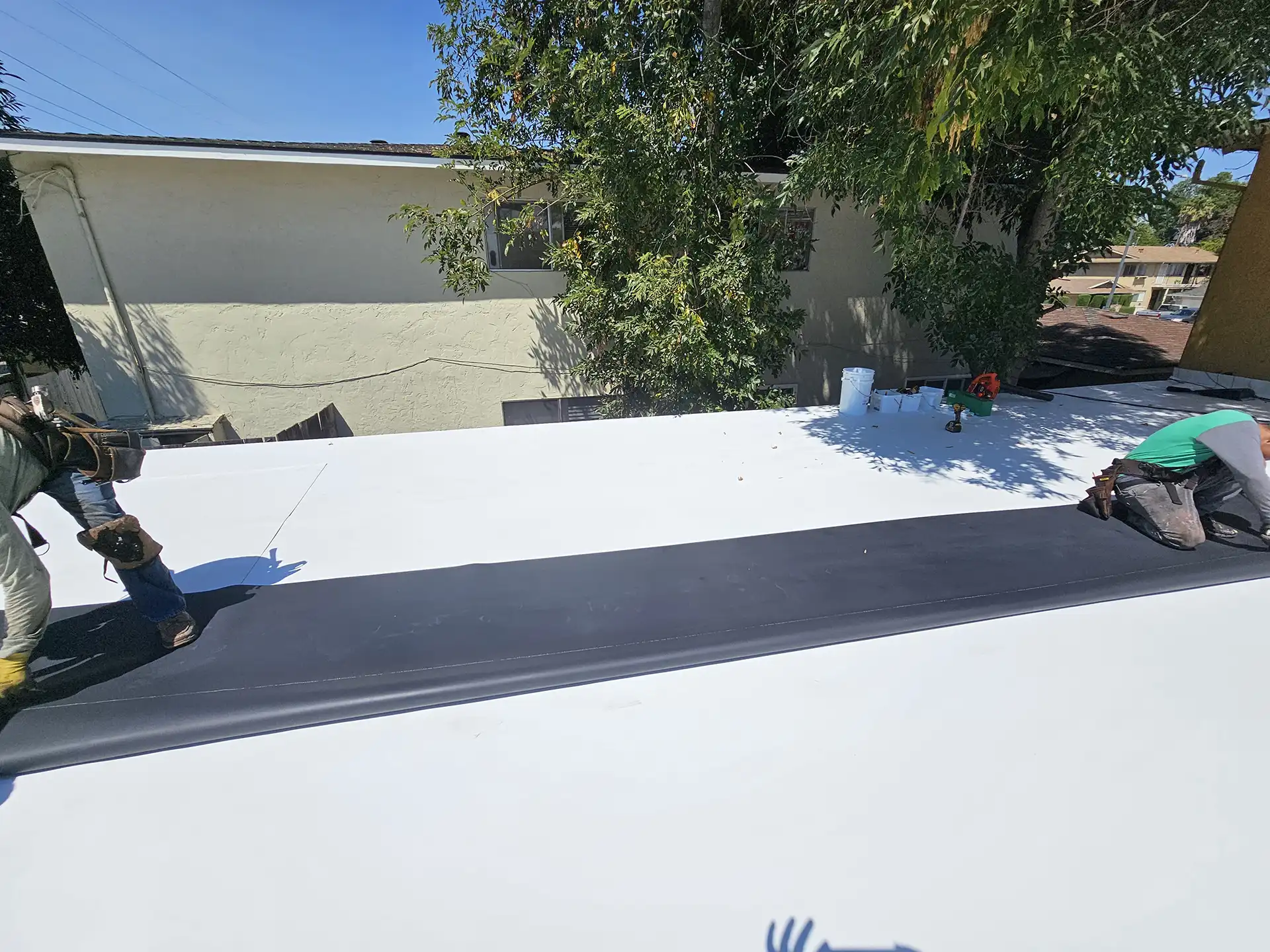 Commercial 1